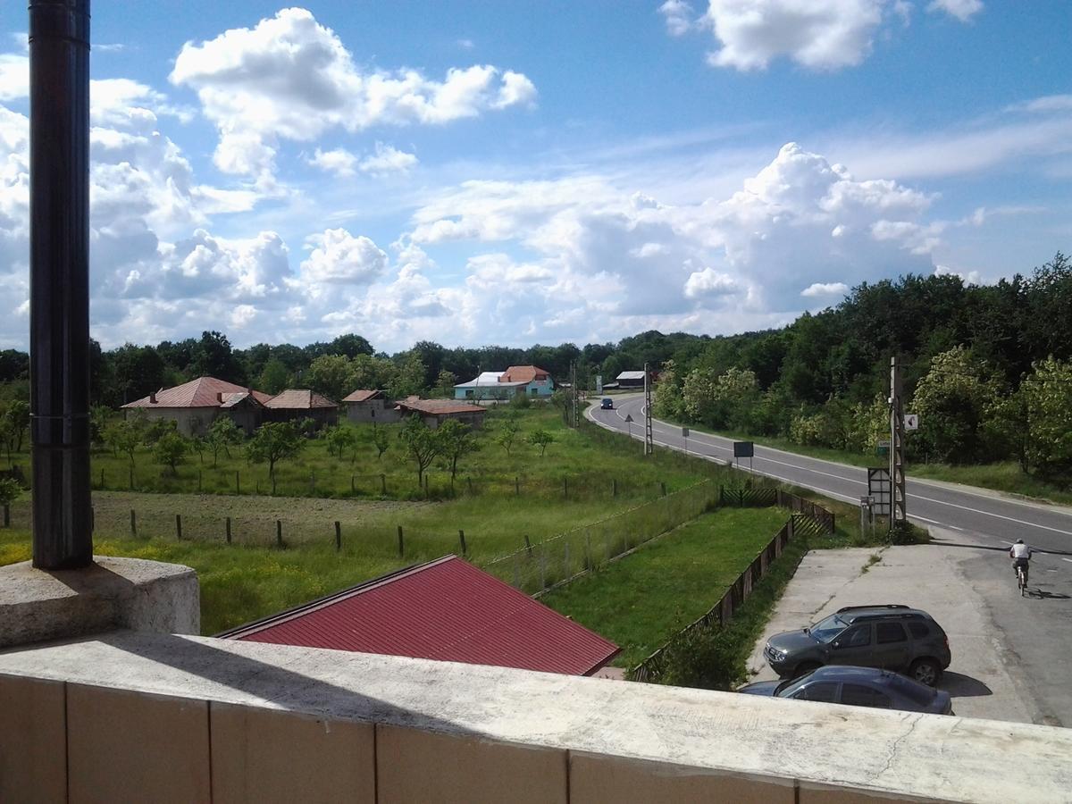 Motel Traffic Lintesti Екстериор снимка
